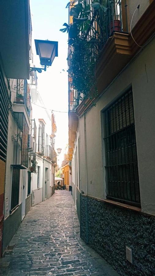 Rentalsevilla Tintes المظهر الخارجي الصورة